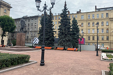 Большой проспект П. С., Санкт-Петербург, 2020