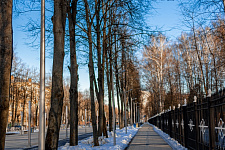 Центральный городской парк, г. Королев, 2020