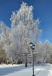 Фонарь 5.Т01-2.1.40.V75-01/2