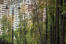 Благоустройство липового парка в Москве, 2018