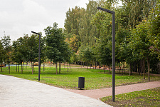 Ильинский Сад, 2019