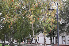 улица Весенняя в Кемерово, 2019