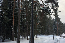 Освещение территории коттеджного поселка в Московской области