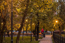 Щемиловский парк , Москва. 2017