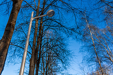 ЦЕНТРАЛЬНЫЙ ГОРОДСКОЙ ПАРК Г. КОРОЛЕВ