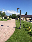 Новые фонари для виноградной плантации в Анапе