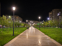  Фонарь 2.Ц41.1.0.V07-01/1
