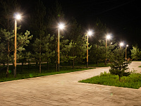 ФОНАРЬ ДПК3.V55-01/1