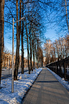 ЦЕНТРАЛЬНЫЙ ГОРОДСКОЙ ПАРК Г. КОРОЛЕВ