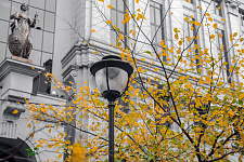 Сквер Бунина в Москве, 2016