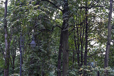 Парк имени Воровского, 2012, г. Москва